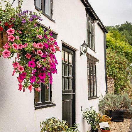 Woodview - Cosy 1840S Cottage In Chew Valley And Mendip Aonb Compton Martin المظهر الخارجي الصورة