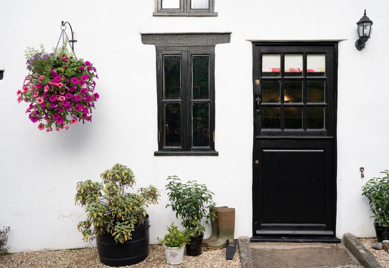 Woodview - Cosy 1840S Cottage In Chew Valley And Mendip Aonb Compton Martin المظهر الخارجي الصورة