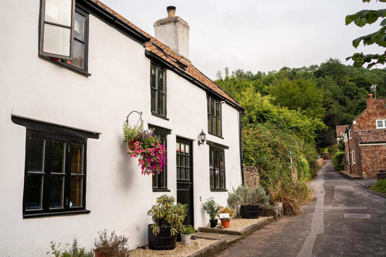 Woodview - Cosy 1840S Cottage In Chew Valley And Mendip Aonb Compton Martin المظهر الخارجي الصورة