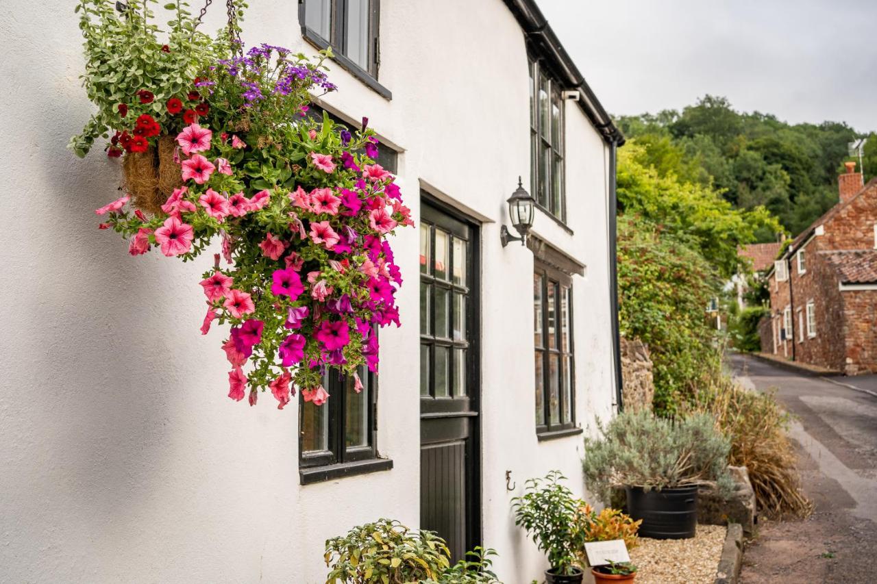 Woodview - Cosy 1840S Cottage In Chew Valley And Mendip Aonb Compton Martin المظهر الخارجي الصورة