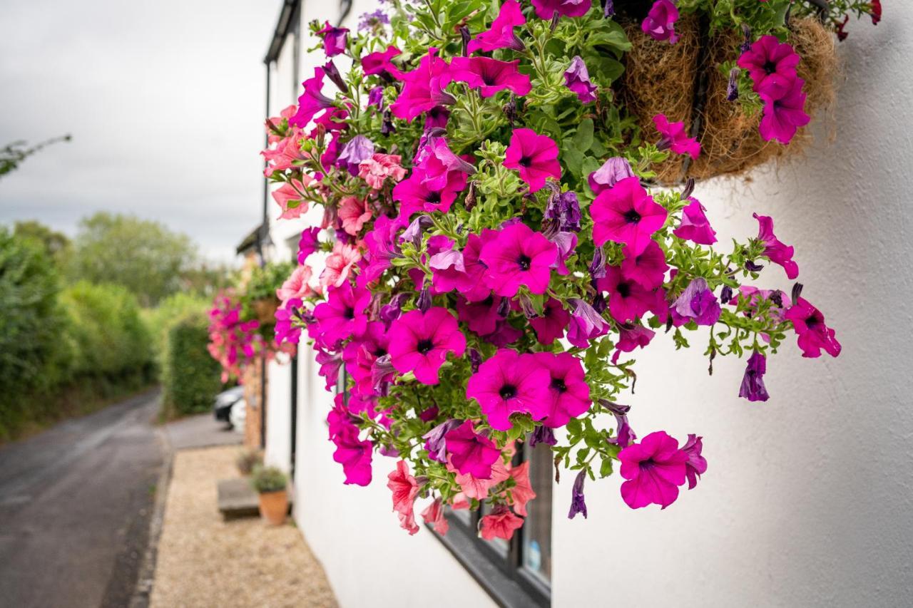 Woodview - Cosy 1840S Cottage In Chew Valley And Mendip Aonb Compton Martin المظهر الخارجي الصورة