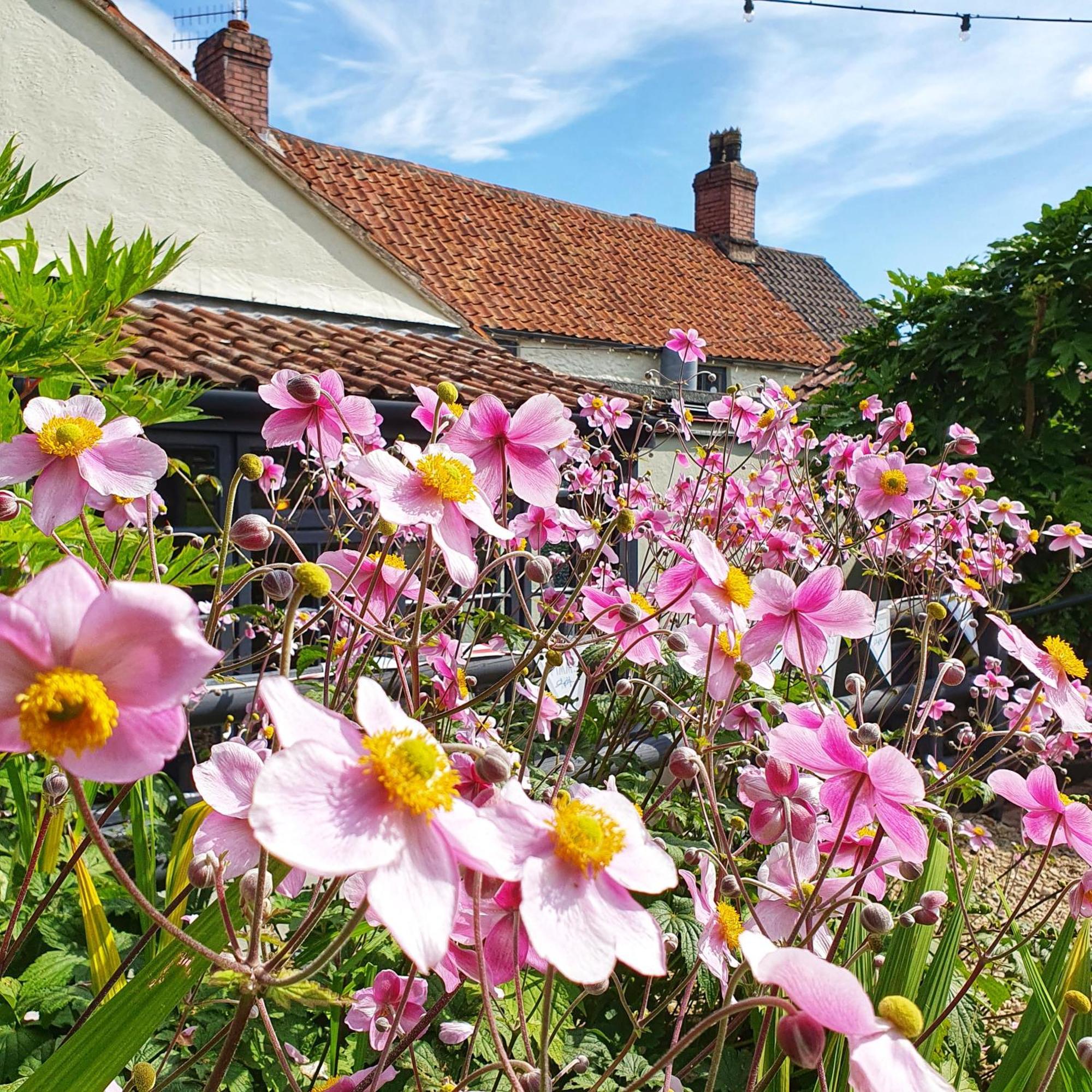 Woodview - Cosy 1840S Cottage In Chew Valley And Mendip Aonb Compton Martin المظهر الخارجي الصورة
